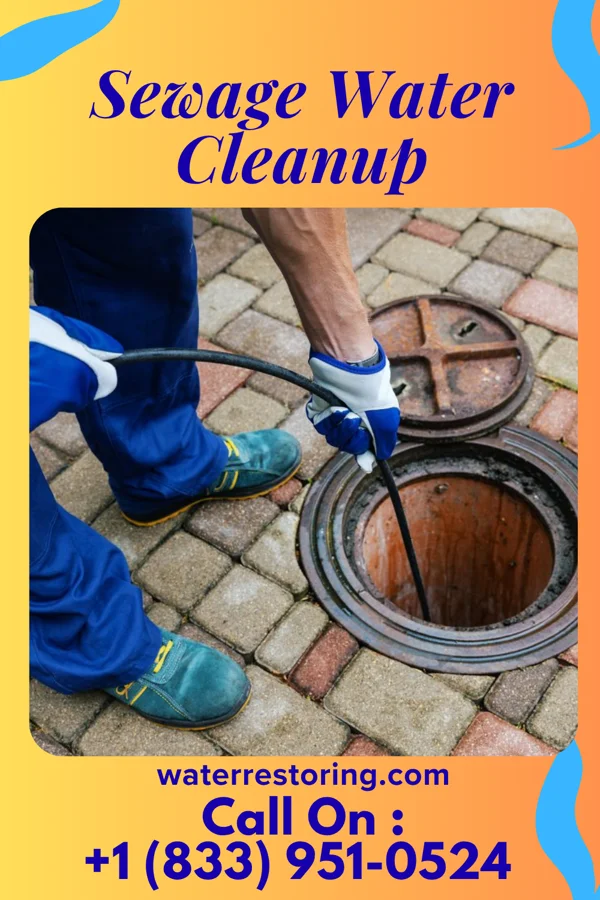 Sewage Water Cleanup in White Cloud, KS